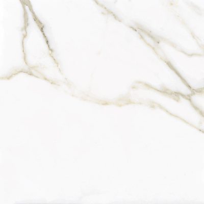 Calacatta Gold Esm POL 100x100cm
